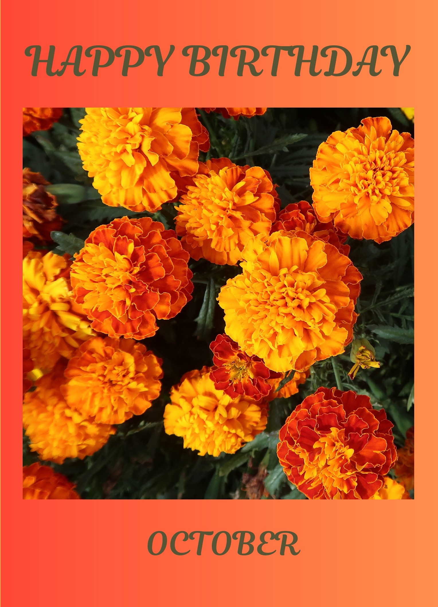 October Birth Flower Card